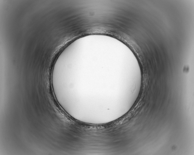 X0000098210345200805221632