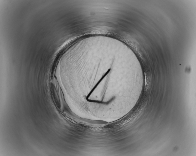 X0000098210348200805221632