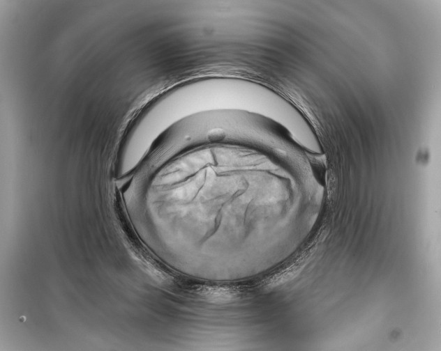 X0000098210349200805221632