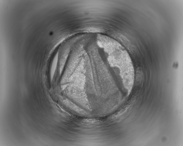X0000098210351200805221632