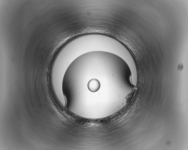 X0000098210352200805221632