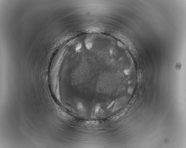 X0000098210353200805221632