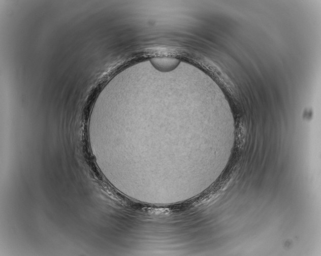 X0000098210355200805221632
