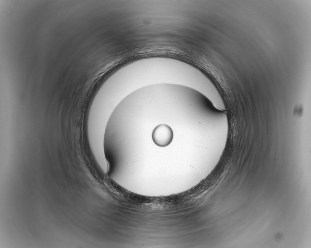 X0000098210356200805221632