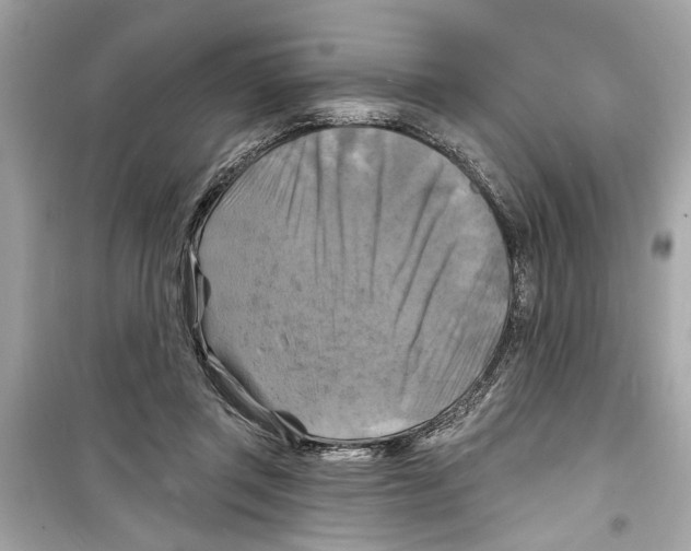 X0000098210357200805221632