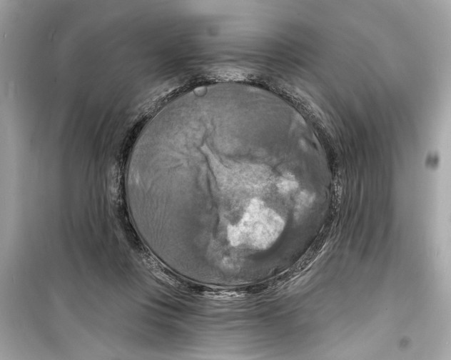X0000098210359200805221632