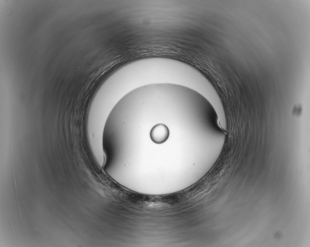 X0000098210360200805221632