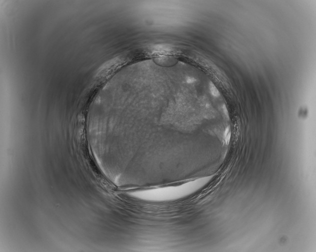 X0000098210361200805221632