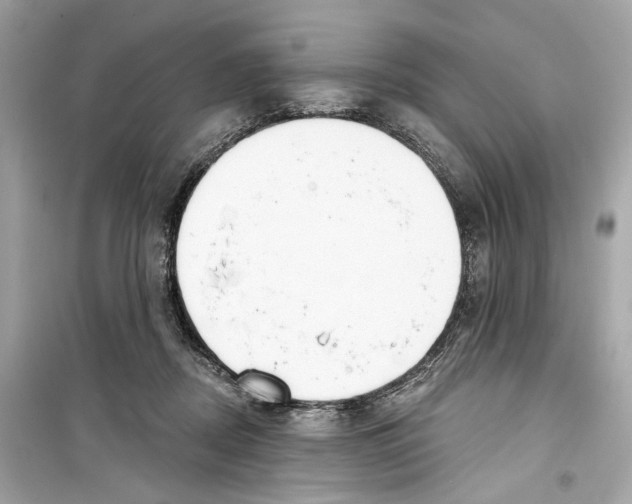 X0000098210362200805221632