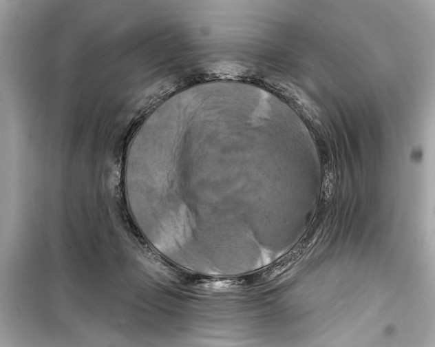 X0000098210365200805221632