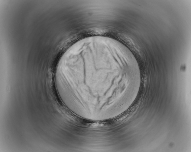 X0000098210366200805221632