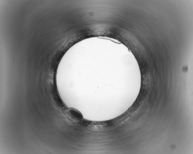 X0000098210368200805221632