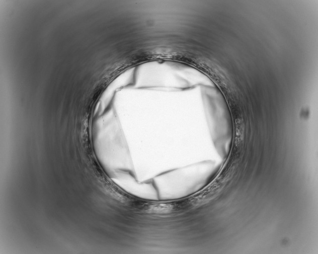X0000098210369200805221632