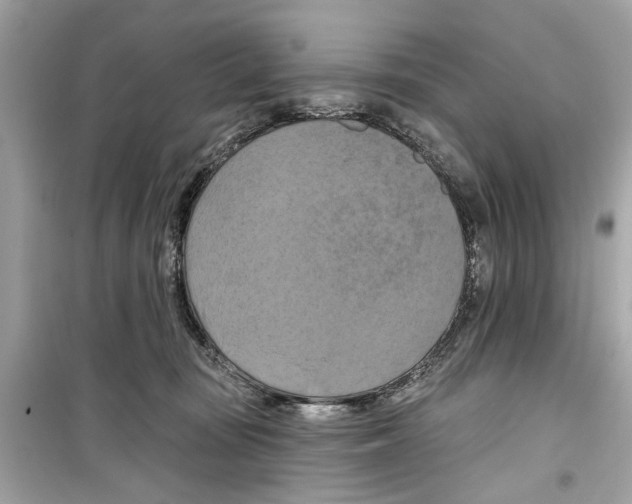 X0000098210371200805221632