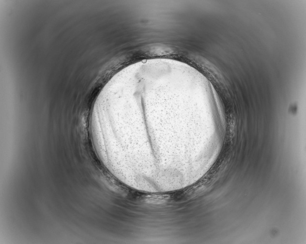 X0000098210373200805221632