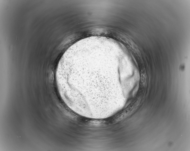 X0000098210375200805221632
