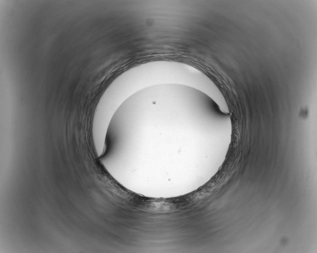 X0000098210376200805221632