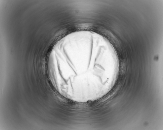 X0000098210377200805221632