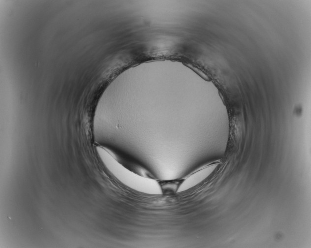 X0000098210380200805221632