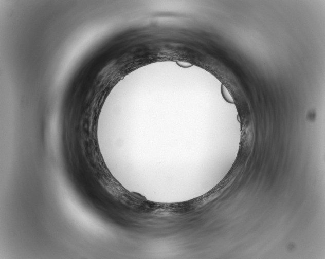 X0000098210381200805221632