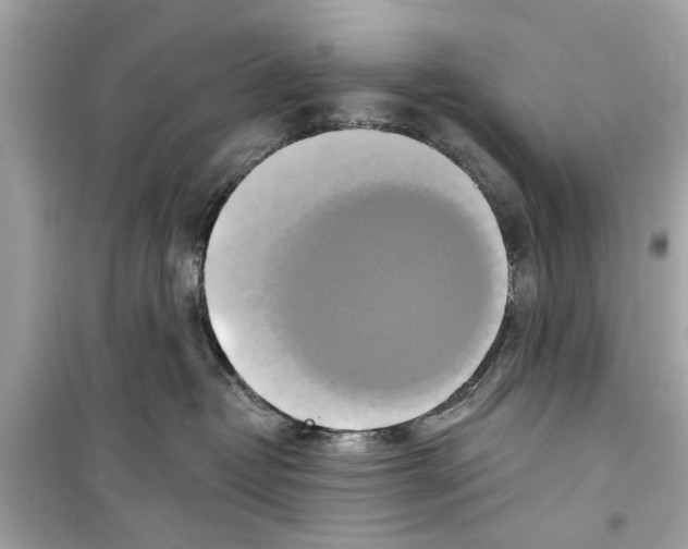 X0000098210382200805221632