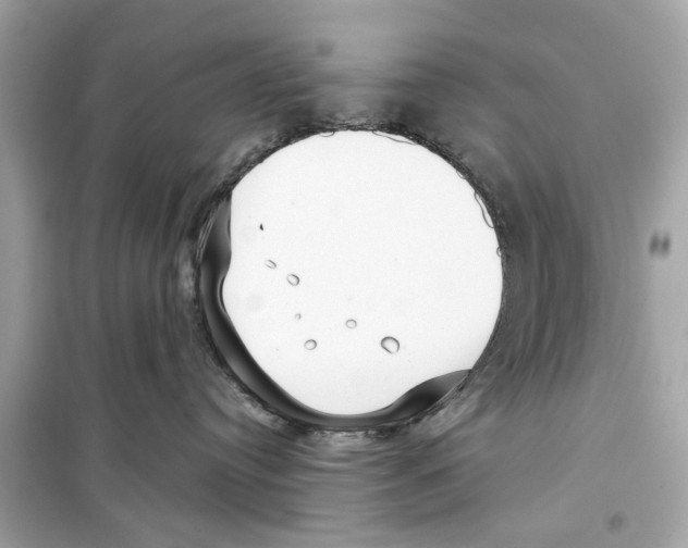 X0000098210384200805221632