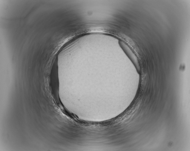 X0000098210385200805221632