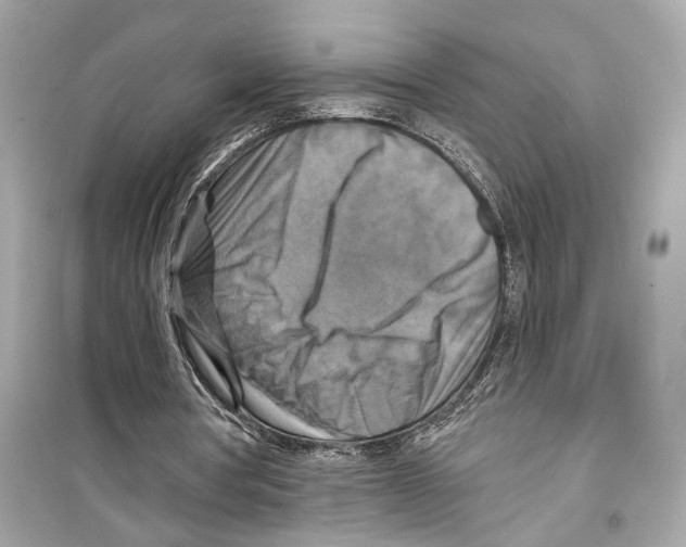X0000098210386200805221632