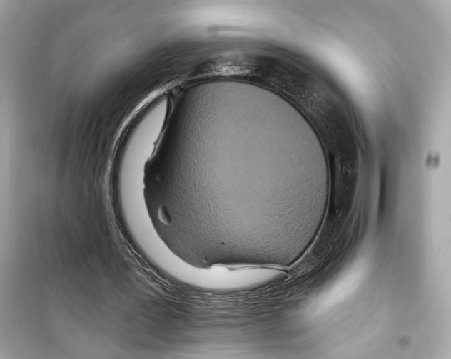 X0000098210387200805221632