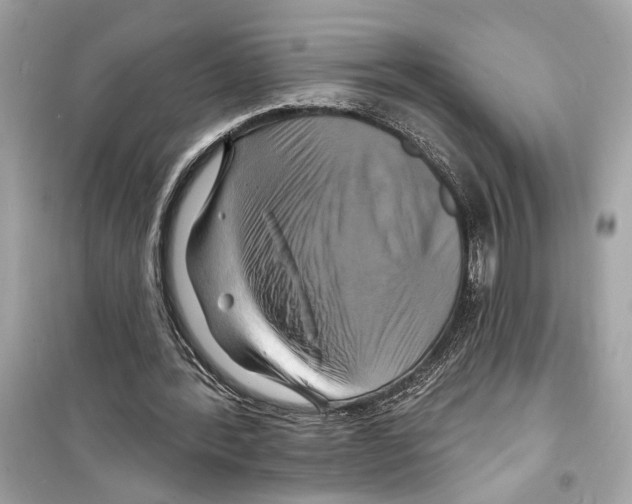 X0000098210388200805221632