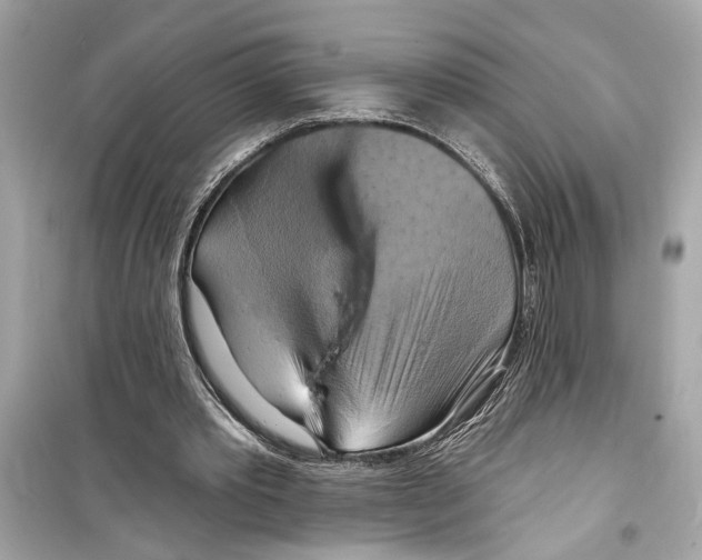X0000098210389200805221632