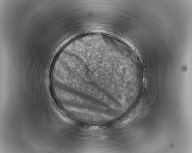 X0000098210390200805221632