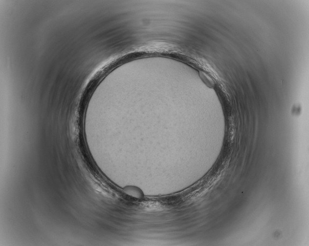 X0000098210392200805221632