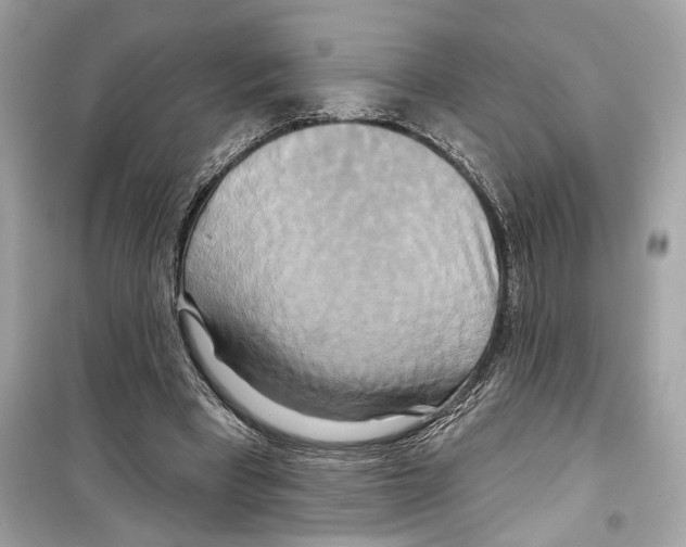 X0000098210393200805221632