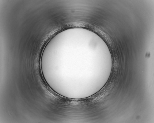 X0000098210394200805221632