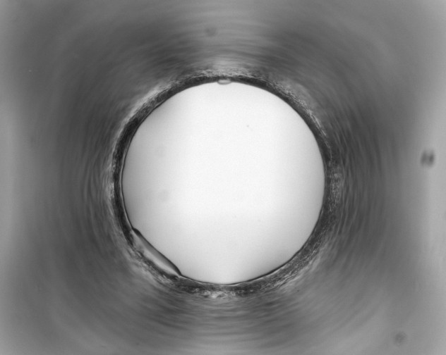 X0000098210395200805221632
