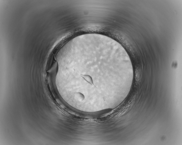 X0000098210396200805221632