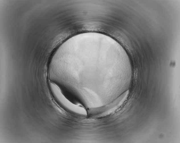 X0000098210397200805221632