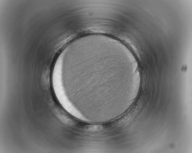 X0000098210398200805221632