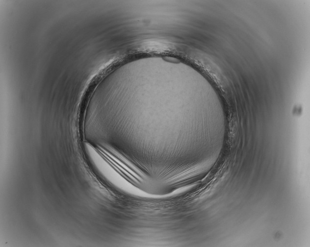 X0000098210399200805221632
