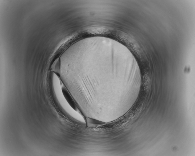 X0000098210400200805221632