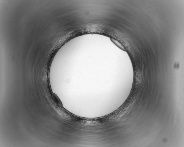 X0000098210401200805221632