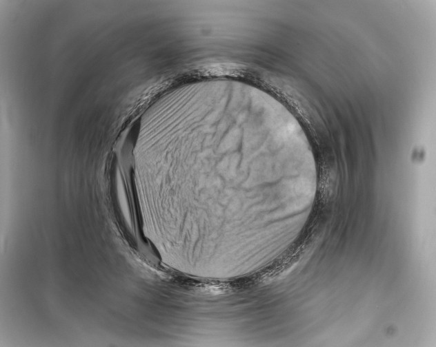 X0000098210402200805221632