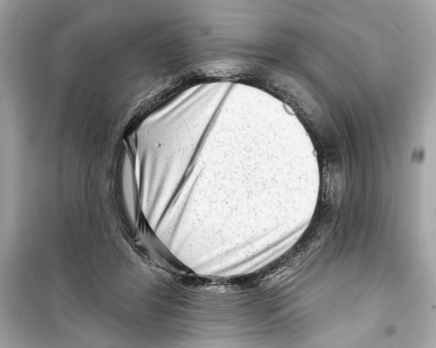 X0000098210404200805221631