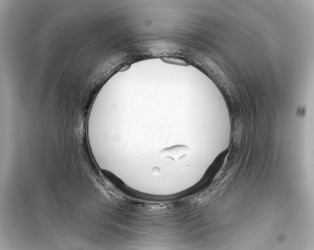 X0000098210405200805221631