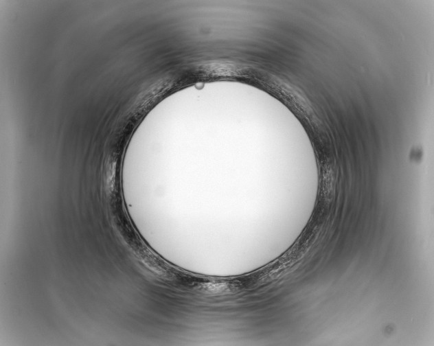 X0000098210406200805221631