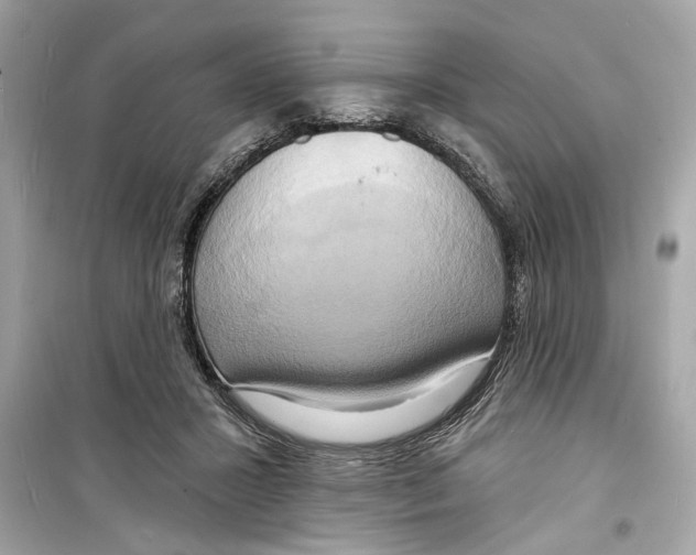 X0000098210407200805221631