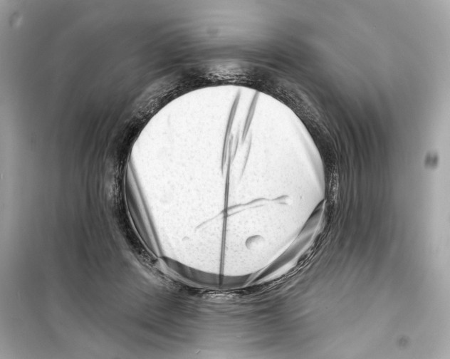 X0000098210408200805221631