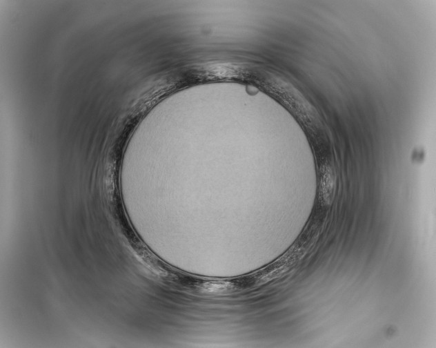 X0000098210410200805221631