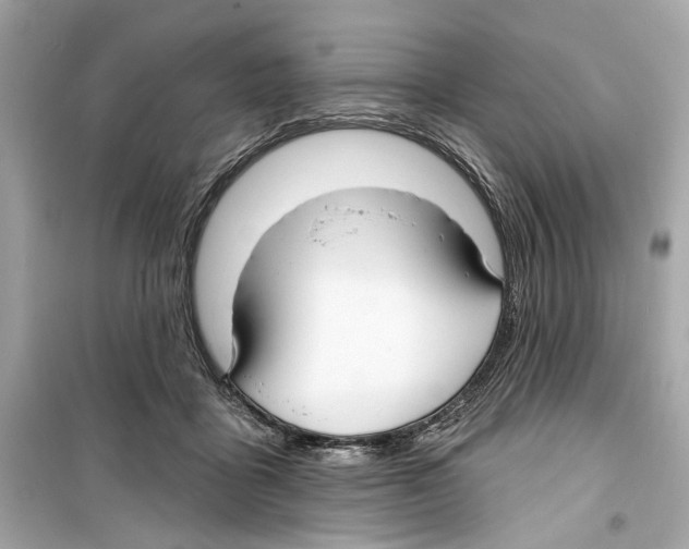 X0000098210411200805221631